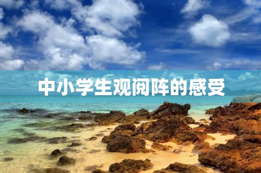 中小学生观阅阵的感受