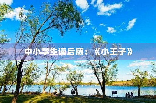 中小学生读后感:《小王子》 中小学生读后感:《小王子》