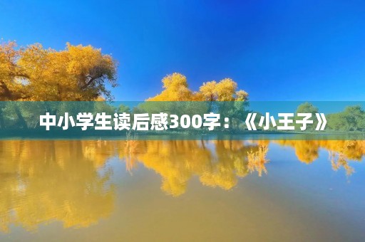 中小学生读后感300字：《小王子》