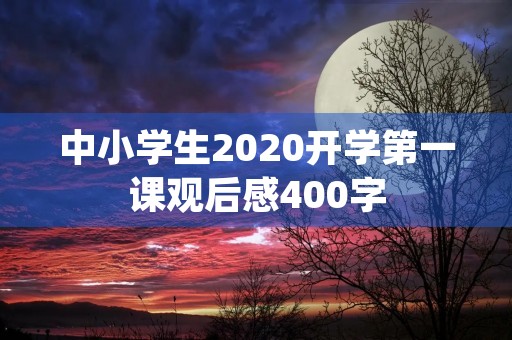中小学生2020开学第一课观后感400字