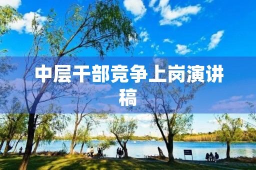 中层干部竞争上岗演讲稿