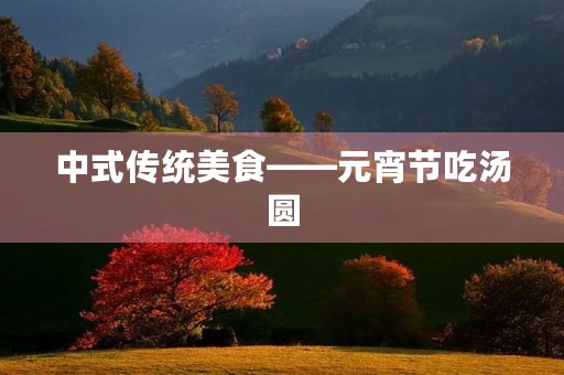 中式传统美食——元宵节吃汤圆