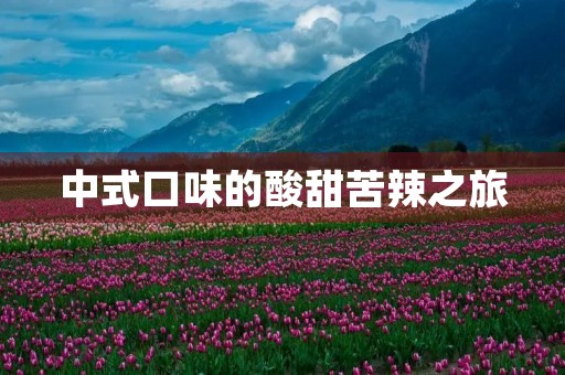 中式口味的酸甜苦辣之旅 中式口味的酸甜苦辣之旅