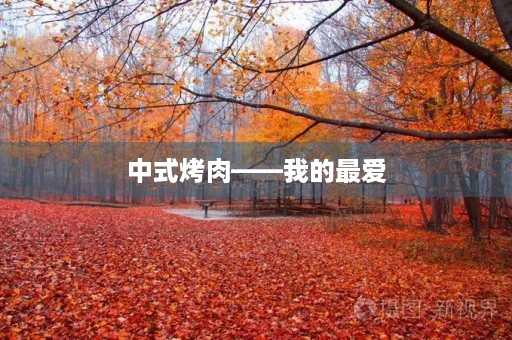 中式烤肉——我的最爱
