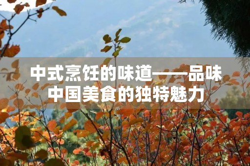中式烹饪的味道——品味中国美食的独特魅力