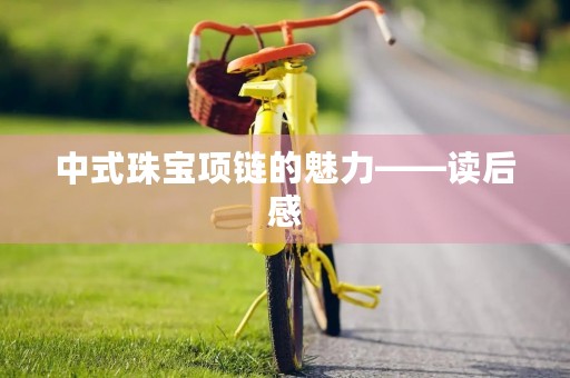 中式珠宝项链的魅力——读后感
