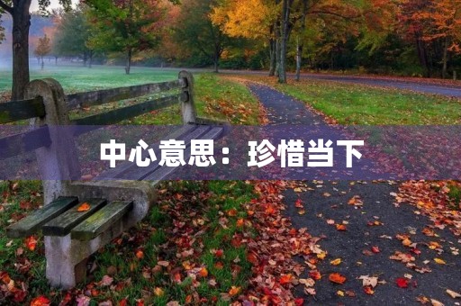 中心意思:珍惜当下,感恩生活 中心意思:珍惜当下,感恩生活
