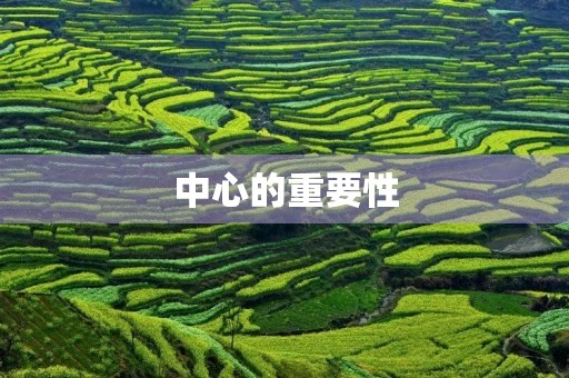 中心的重要性 中心的重要性
