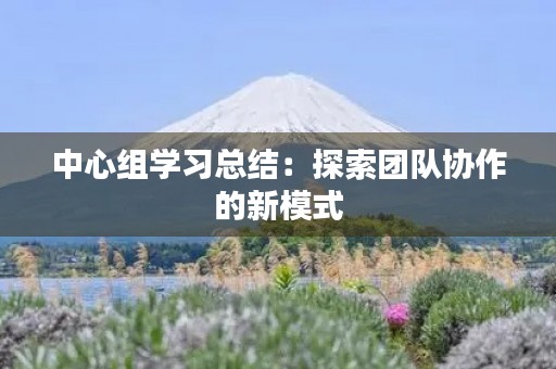 中心组学习总结：探索团队协作的新模式