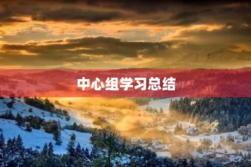 中心组学习总结
