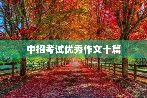 中招考试优秀作文十篇 中招考试优秀作文十篇