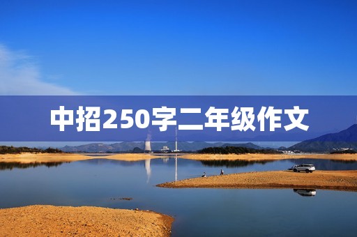 中招250字二年级作文
