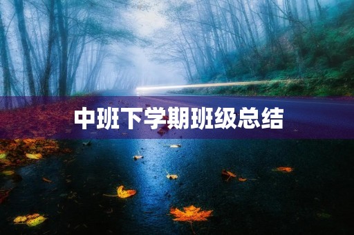 中班下学期班级总结