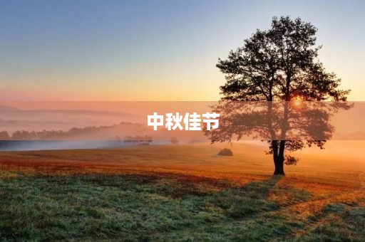 中秋佳节,共度团圆时 中秋佳节,共度团圆时