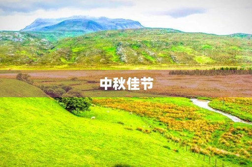 中秋佳节，吃月饼