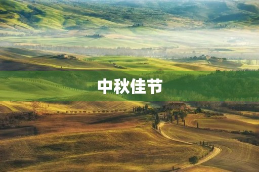 中秋佳节,家团圆的幸福时刻 中秋佳节,家团圆的幸福时刻