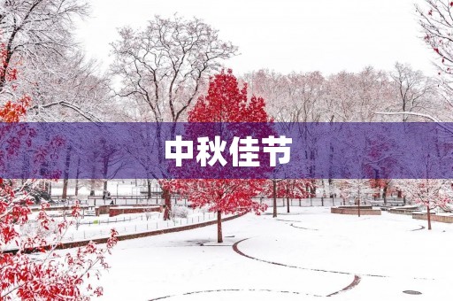 中秋佳节,手工制作月饼 中秋佳节,手工制作月饼