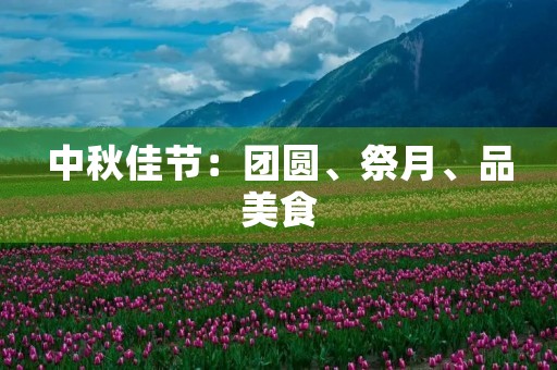 中秋佳节:团圆、祭月、品美食 中秋佳节:团圆、祭月、品美食