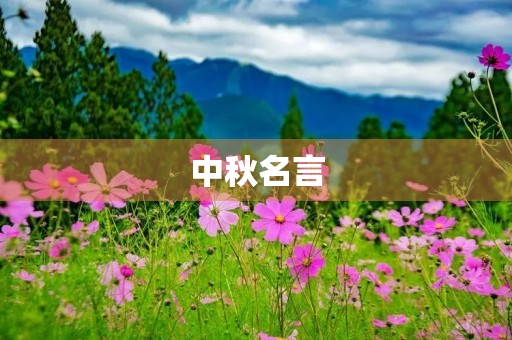 中秋名言(中秋名言八个字) 中秋名言(中秋名言八个字)