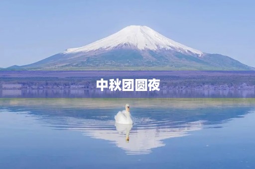 中秋团圆夜,温暖的思念 中秋团圆夜,温暖的思念