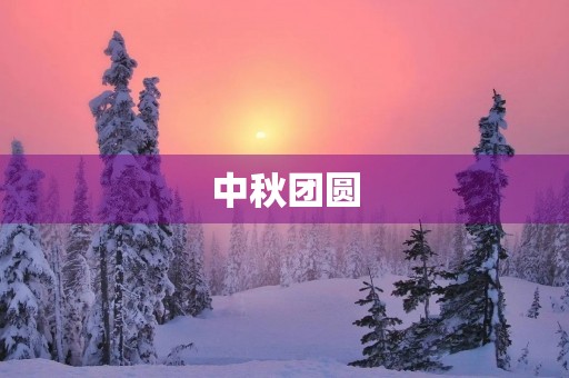 中秋团圆，共享月饼——我的中秋节日记