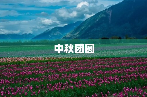 中秋团圆，感恩相聚