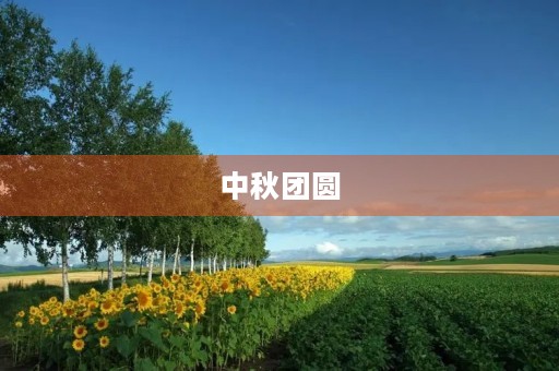 中秋团圆，月圆人更圆