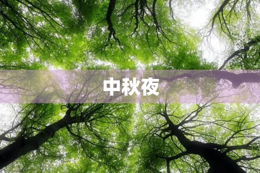 中秋夜，明月情900字三年级作文