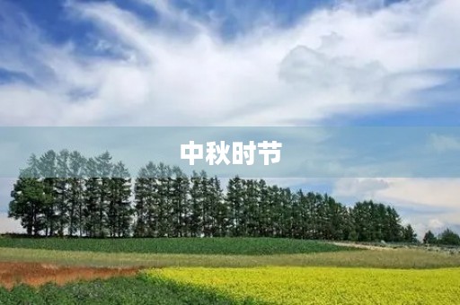中秋时节，秋风习习，枫叶飘落，金黄色的稻穗在田野里摇曳。秋天是一个充满变化的季节，它让人们感受到生命的轮回和自然的力量。在这个美丽的季节里，我们可以感受到大自然的神奇和魅力。下面，让我们一起来探索秋天的美妙之处。