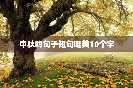 中秋的句子短句唯美10个字,中秋的句子短句唯美10个字左右 中秋的句子短句唯美10个字,中秋的句子短句唯美10个字左右