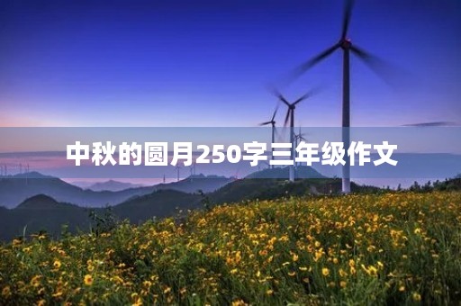 中秋的圆月250字三年级作文 中秋的圆月250字三年级作文