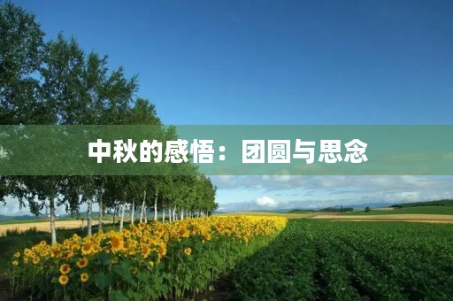 中秋的感悟：团圆与思念