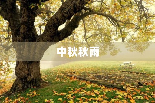 中秋秋雨，思念的润泽