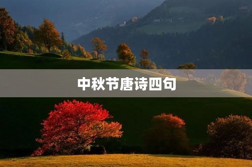 中秋节唐诗四句(中秋节古诗四句唐)