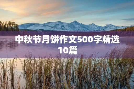 中秋节月饼作文500字精选10篇