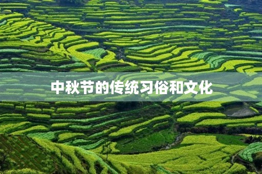 中秋节的传统习俗和文化 中秋节的传统习俗和文化