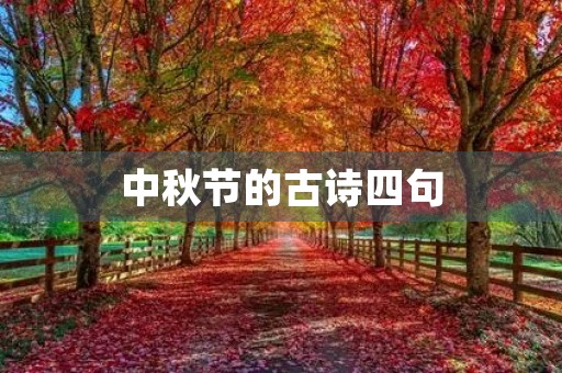 中秋节的古诗四句(中秋节的古诗四句小学) 中秋节的古诗四句(中秋节的古诗四句小学)