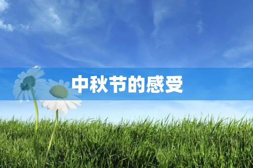 中秋节的感受 中秋节的感受