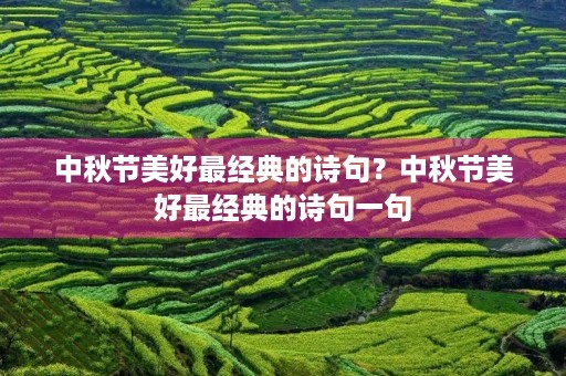 中秋节美好最经典的诗句？中秋节美好最经典的诗句一句