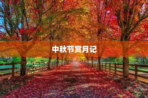 中秋节赏月记