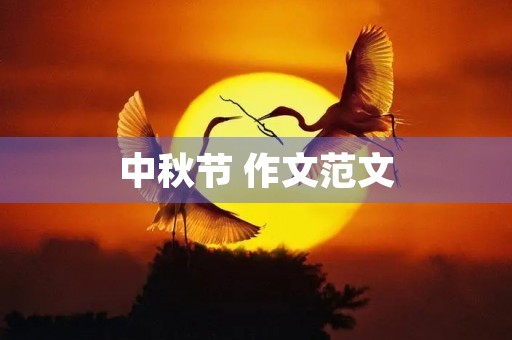 中秋节 作文范文 中秋节 作文范文