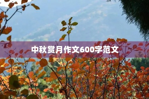 中秋赏月作文600字范文