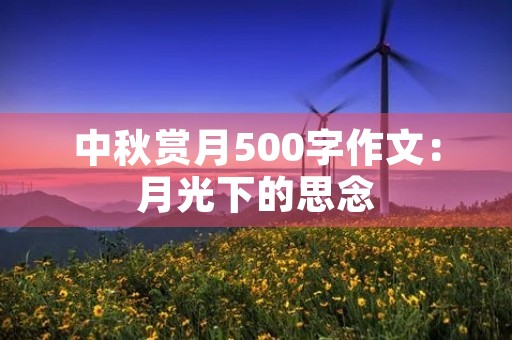 中秋赏月500字作文：月光下的思念