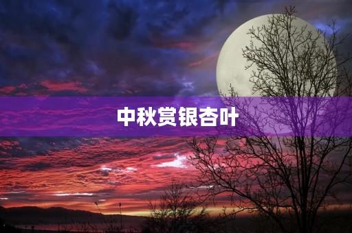中秋赏银杏叶 中秋赏银杏叶