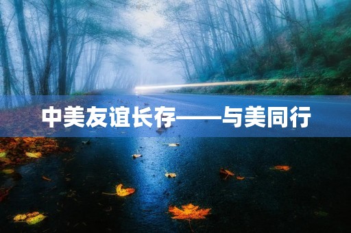 中美友谊长存——与美同行