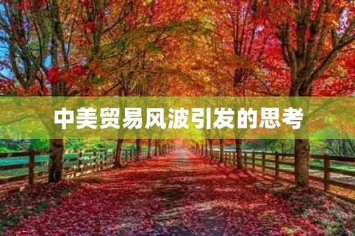 中美贸易风波引发的思考