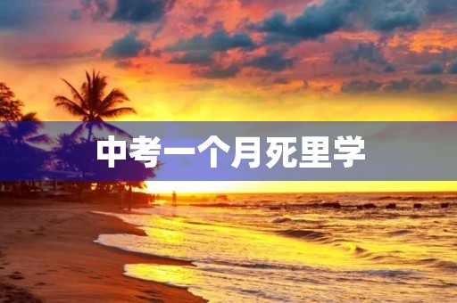 中考一个月死里学,提分不是问题 中考一个月死里学,提分不是问题