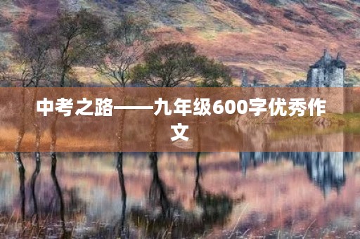 中考之路——九年级600字优秀作文