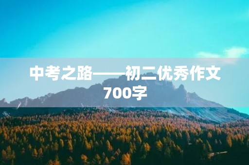 中考之路——初二优秀作文700字