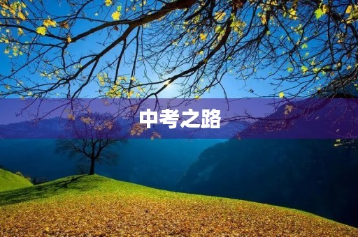 中考之路